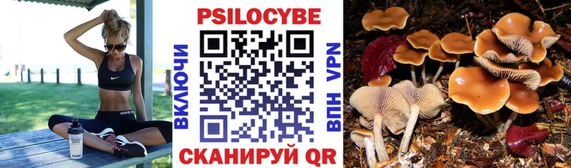 Галлюциногенные грибы Psilocybe  продажа наркотиков  kraken вход  Козьмодемьянск 